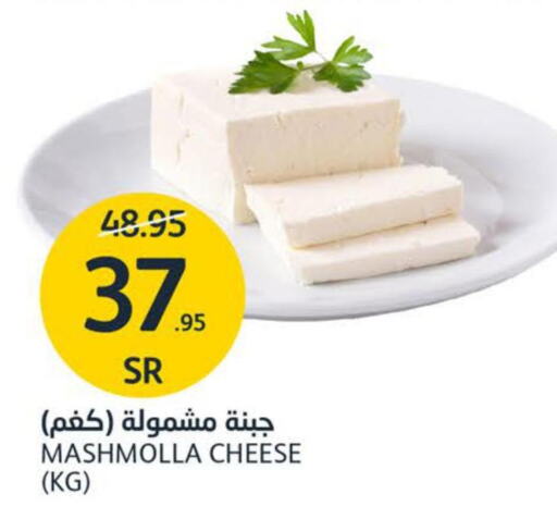 NADEC Mozzarella  in مركز الجزيرة للتسوق in مملكة العربية السعودية, السعودية, سعودية - الرياض