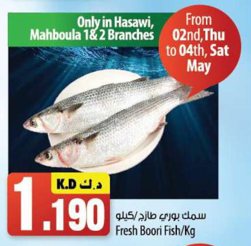  in Mango Hypermarket  in Kuwait - Kuwait City