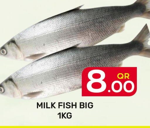  King Fish  in Majlis Hypermarket in Qatar - Al Rayyan