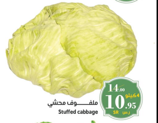 Cabbage  in Mira Mart Mall in KSA, Saudi Arabia, Saudi - Jeddah