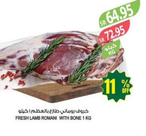  Mutton / Lamb  in Farm  in KSA, Saudi Arabia, Saudi - Khafji