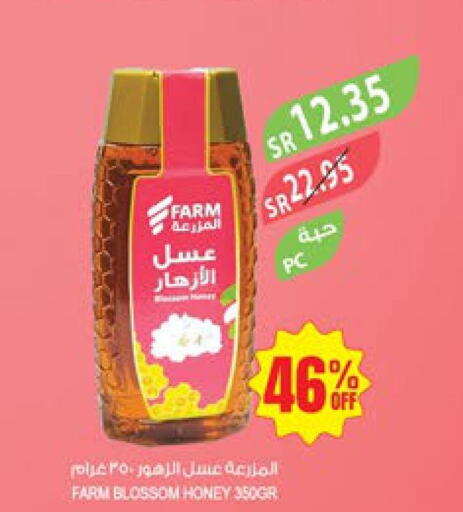  Honey  in المزرعة in مملكة العربية السعودية, السعودية, سعودية - الخرج