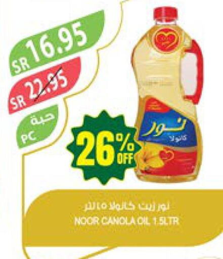 NOOR Canola Oil  in Farm  in KSA, Saudi Arabia, Saudi - Tabuk
