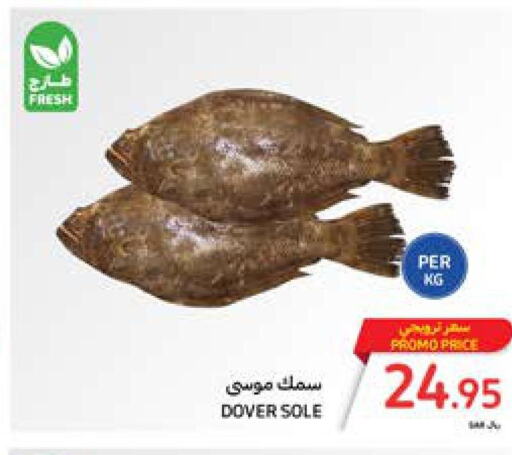  Tuna  in Carrefour in KSA, Saudi Arabia, Saudi - Dammam