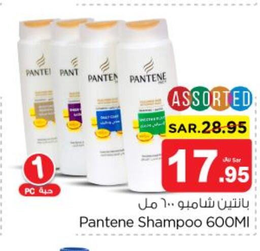 PANTENE Shampoo / Conditioner  in نستو in مملكة العربية السعودية, السعودية, سعودية - الرس