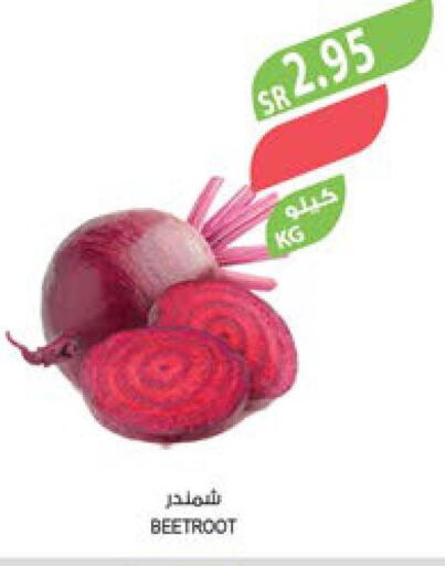  Beetroot  in المزرعة in مملكة العربية السعودية, السعودية, سعودية - ينبع