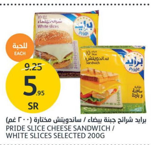  Slice Cheese  in مركز الجزيرة للتسوق in مملكة العربية السعودية, السعودية, سعودية - الرياض