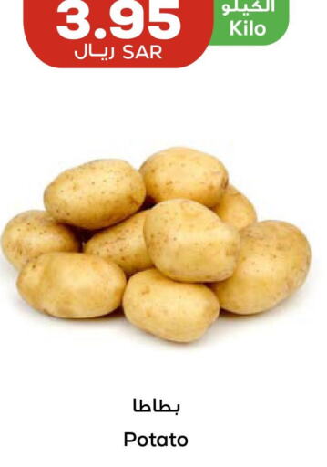  Potato  in أسواق أسترا in مملكة العربية السعودية, السعودية, سعودية - تبوك
