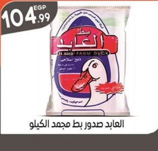  General Cleaner  in El mhallawy Sons in Egypt - Cairo