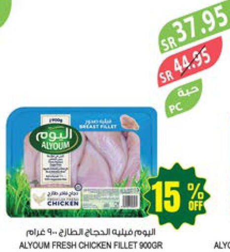 AL YOUM Chicken Fillet  in Farm  in KSA, Saudi Arabia, Saudi - Abha