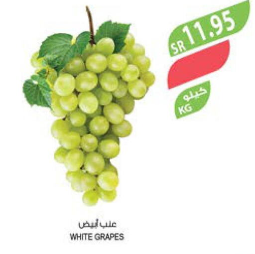  Grapes  in المزرعة in مملكة العربية السعودية, السعودية, سعودية - جازان