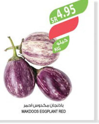  Onion  in المزرعة in مملكة العربية السعودية, السعودية, سعودية - الجبيل‎