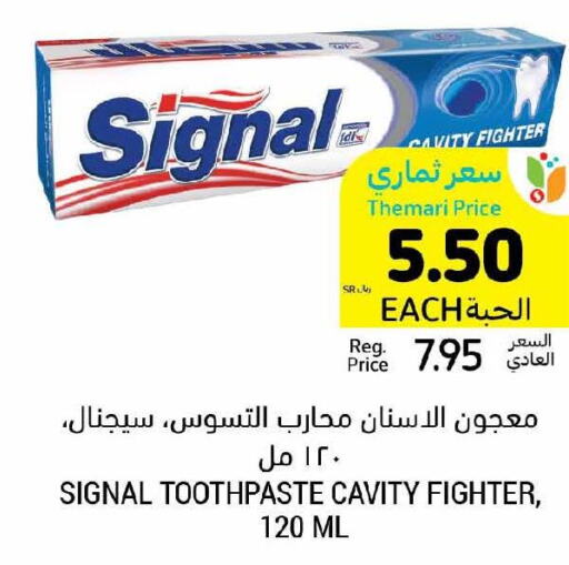 SIGNAL Toothpaste  in Tamimi Market in KSA, Saudi Arabia, Saudi - Khafji