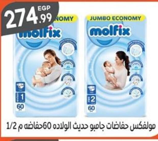 MOLFIX   in El mhallawy Sons in Egypt - Cairo