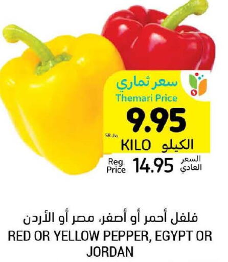  Chilli / Capsicum  in أسواق التميمي in مملكة العربية السعودية, السعودية, سعودية - الجبيل‎