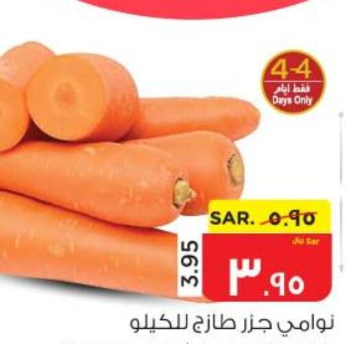  Carrot  in نستو in مملكة العربية السعودية, السعودية, سعودية - الأحساء‎