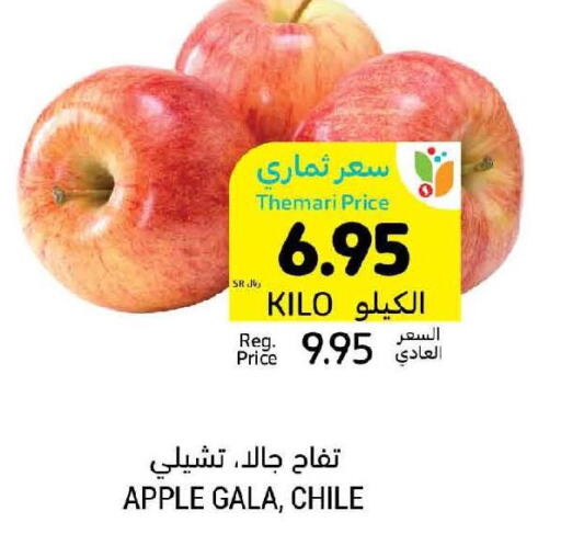  Apples  in أسواق التميمي in مملكة العربية السعودية, السعودية, سعودية - الجبيل‎