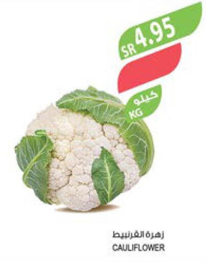 Cauliflower  in المزرعة in مملكة العربية السعودية, السعودية, سعودية - ينبع