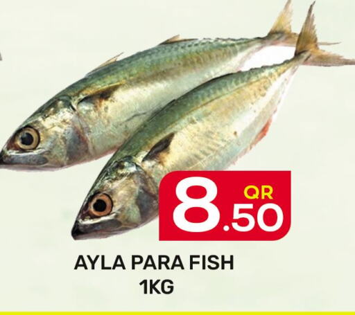  King Fish  in Majlis Hypermarket in Qatar - Al Rayyan