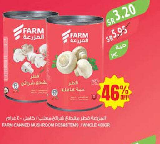  Mushroom  in Farm  in KSA, Saudi Arabia, Saudi - Al Hasa