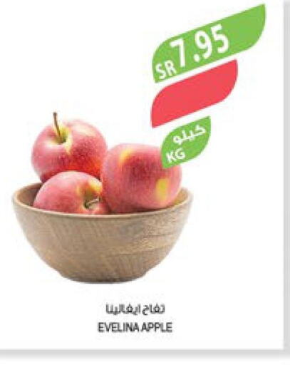  Apples  in المزرعة in مملكة العربية السعودية, السعودية, سعودية - الجبيل‎
