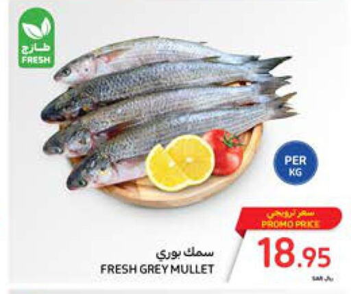  Tuna  in Carrefour in KSA, Saudi Arabia, Saudi - Dammam