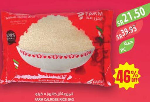  Egyptian / Calrose Rice  in المزرعة in مملكة العربية السعودية, السعودية, سعودية - تبوك