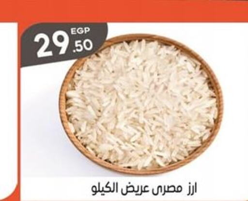  Egyptian / Calrose Rice  in El mhallawy Sons in Egypt - Cairo