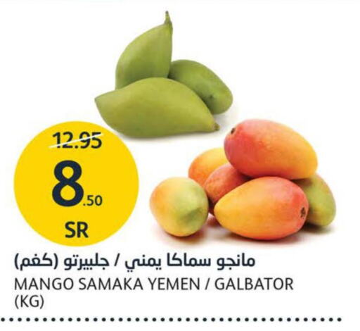 Mango   in مركز الجزيرة للتسوق in مملكة العربية السعودية, السعودية, سعودية - الرياض