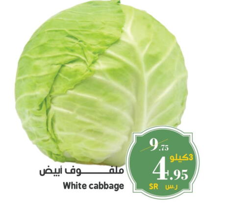  Cabbage  in Mira Mart Mall in KSA, Saudi Arabia, Saudi - Jeddah