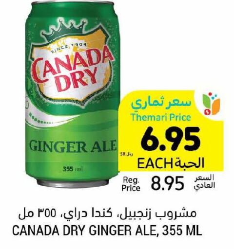 CANADA DRY   in Tamimi Market in KSA, Saudi Arabia, Saudi - Ar Rass