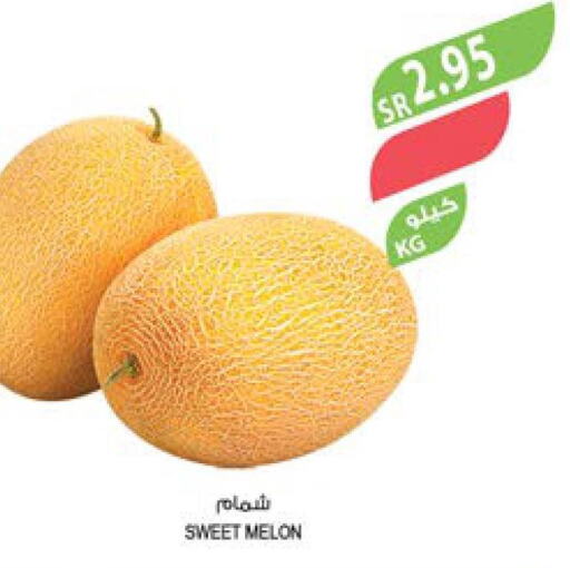  Sweet melon  in Farm  in KSA, Saudi Arabia, Saudi - Tabuk