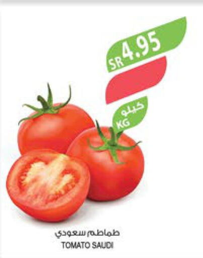  Tomato  in Farm  in KSA, Saudi Arabia, Saudi - Jeddah