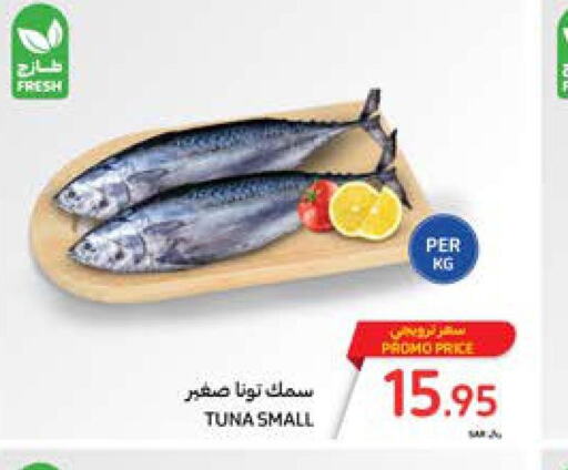  Tuna  in Carrefour in KSA, Saudi Arabia, Saudi - Al Khobar