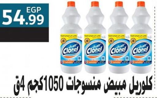  General Cleaner  in El mhallawy Sons in Egypt - Cairo
