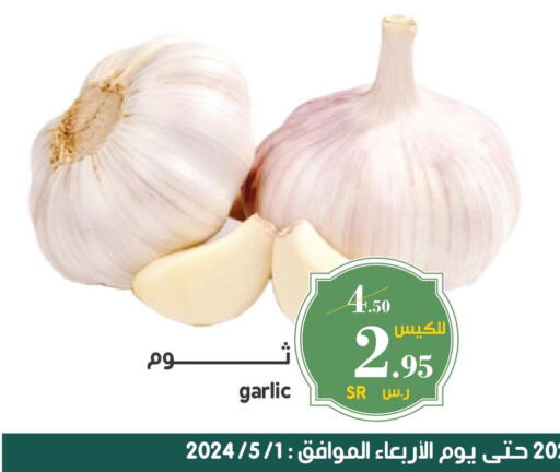  Garlic  in Mira Mart Mall in KSA, Saudi Arabia, Saudi - Jeddah