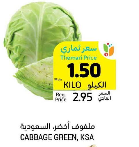  Cabbage  in أسواق التميمي in مملكة العربية السعودية, السعودية, سعودية - الجبيل‎