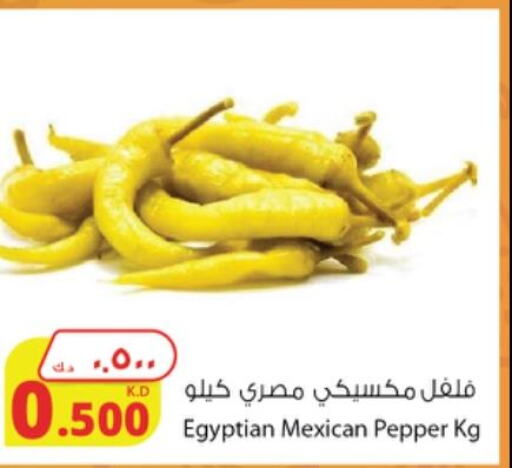  Spices / Masala  in شركة المنتجات الزراعية الغذائية in الكويت - محافظة الجهراء