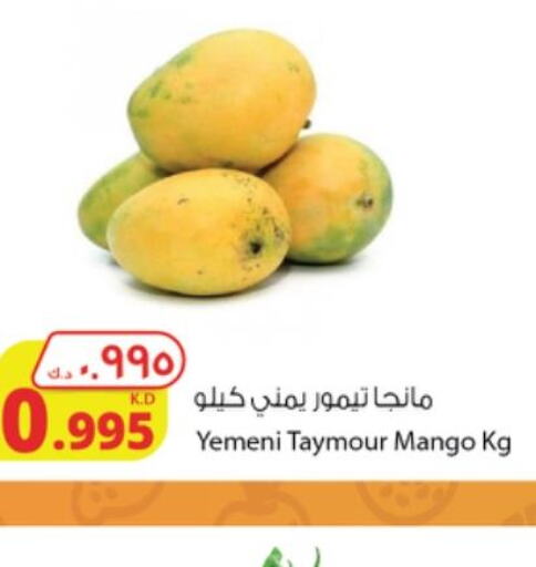 Mango   in Agricultural Food Products Co. in Kuwait - Ahmadi Governorate