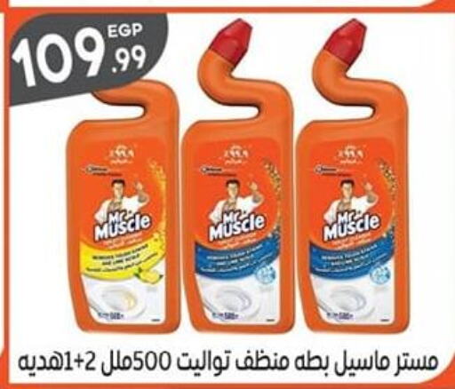 MR. MUSCLE Toilet / Drain Cleaner  in El mhallawy Sons in Egypt - Cairo