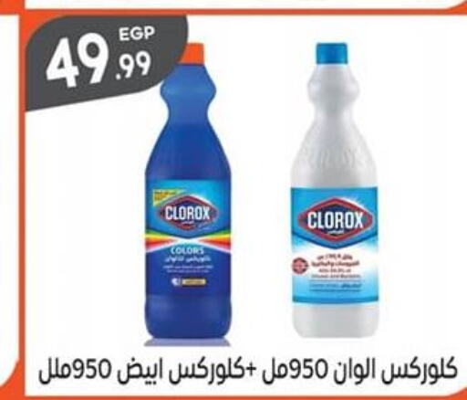 CLOROX General Cleaner  in El mhallawy Sons in Egypt - Cairo