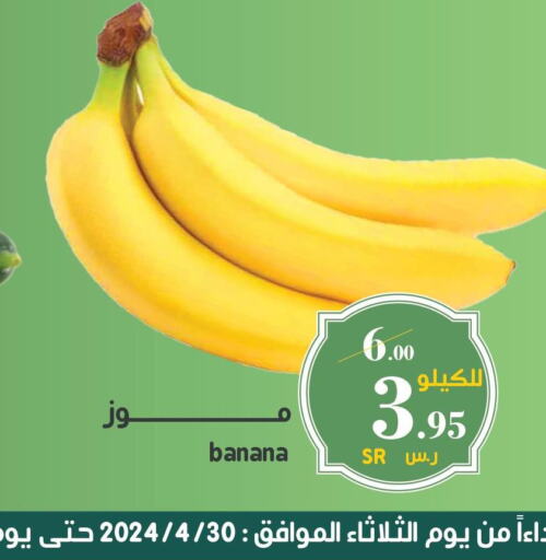  Banana  in ميرا مارت مول in مملكة العربية السعودية, السعودية, سعودية - جدة
