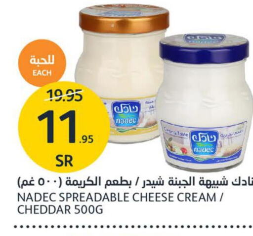 NADEC Cheddar Cheese  in مركز الجزيرة للتسوق in مملكة العربية السعودية, السعودية, سعودية - الرياض