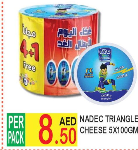 NADEC Triangle Cheese  in دريم لاند in الإمارات العربية المتحدة , الامارات - دبي