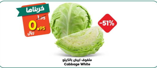  Cabbage  in الدكان in مملكة العربية السعودية, السعودية, سعودية - الطائف