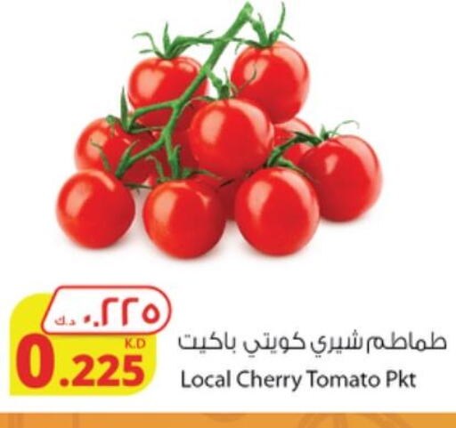  Tomato  in شركة المنتجات الزراعية الغذائية in الكويت - محافظة الجهراء