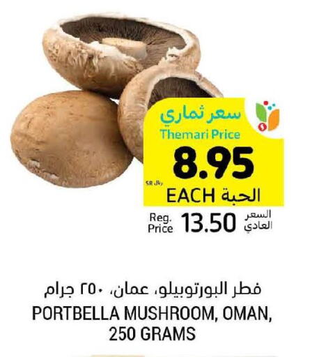  Mushroom  in أسواق التميمي in مملكة العربية السعودية, السعودية, سعودية - حفر الباطن