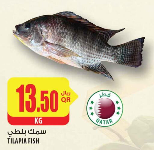  King Fish  in شركة الميرة للمواد الاستهلاكية in قطر - الوكرة