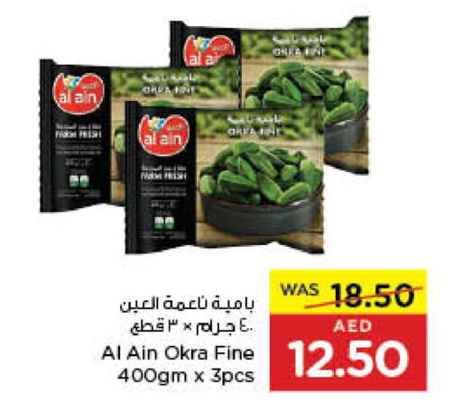 AL AIN   in Earth Supermarket in UAE - Sharjah / Ajman