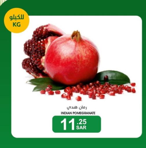  Pomegranate  in  مـزايــا in مملكة العربية السعودية, السعودية, سعودية - القطيف‎